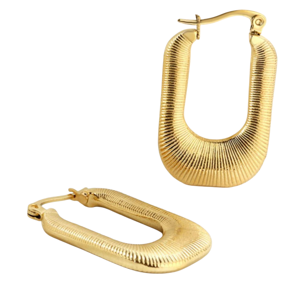 Tasha hoops